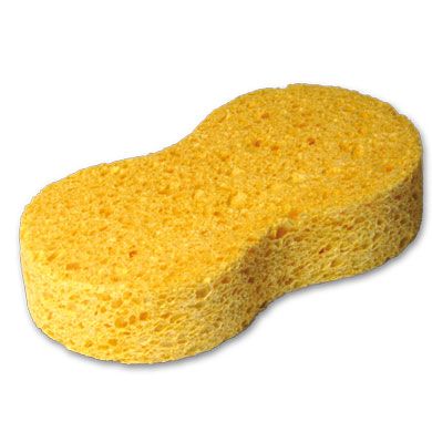 Polishing Sponge